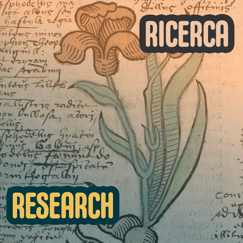 Research | Ricerca